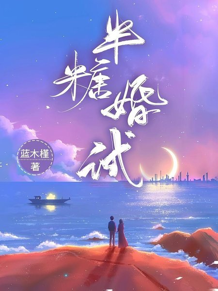 半糖婚试封面